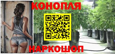 наркотики Камышлов