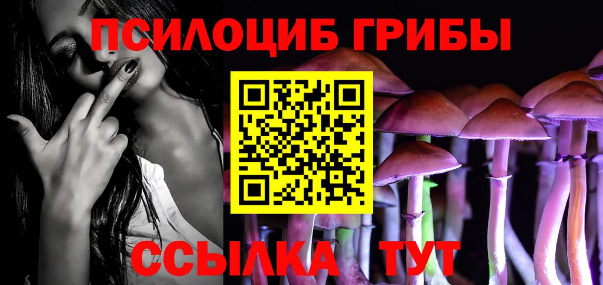Курчалой  Галлюциногенные грибы ЛСД  Вход с VPN  Галлюциногенные грибы MAGIC MUSHROOMS 